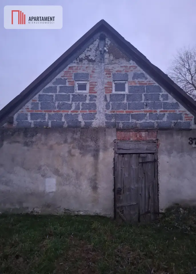 Zdjęcie 7