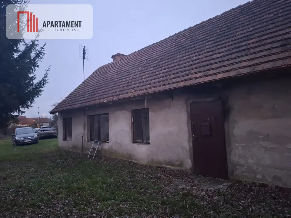 Zdjęcie 8