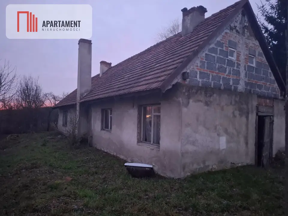 Zdjęcie 9