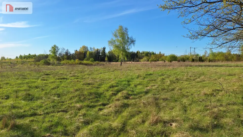 Działka inwestycyjna i leśna 1,09 ha, Grzybiany