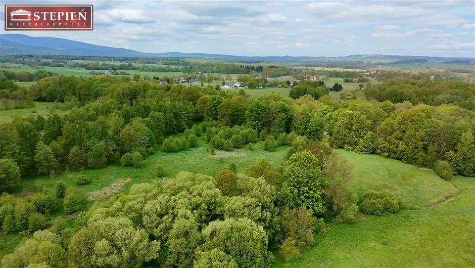 Działka budowlana 2,6 ha, Rębiszów