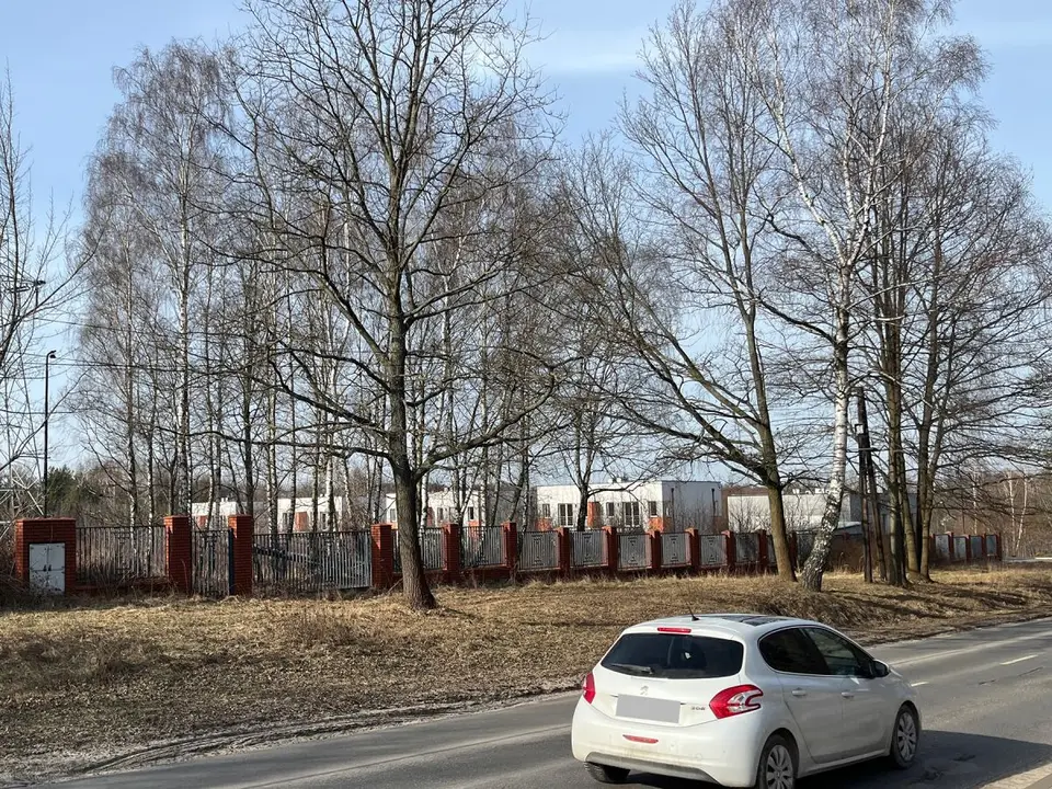 Zdjęcie 11
