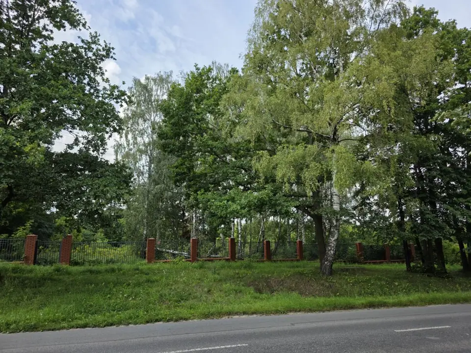 Zdjęcie 13