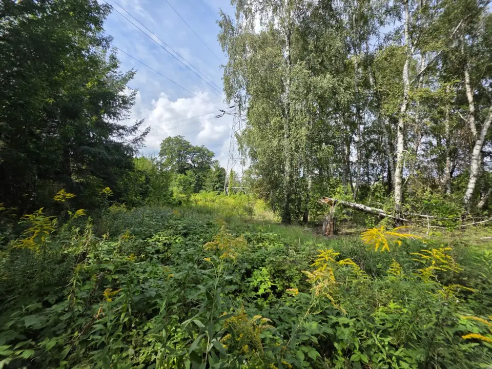 Zdjęcie 14