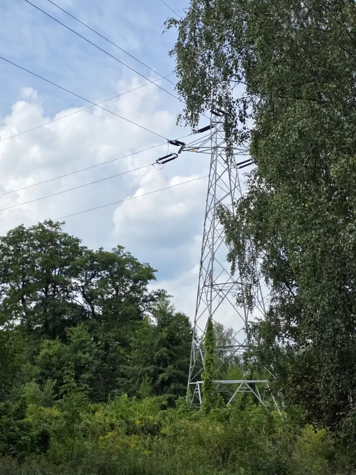 Zdjęcie 16