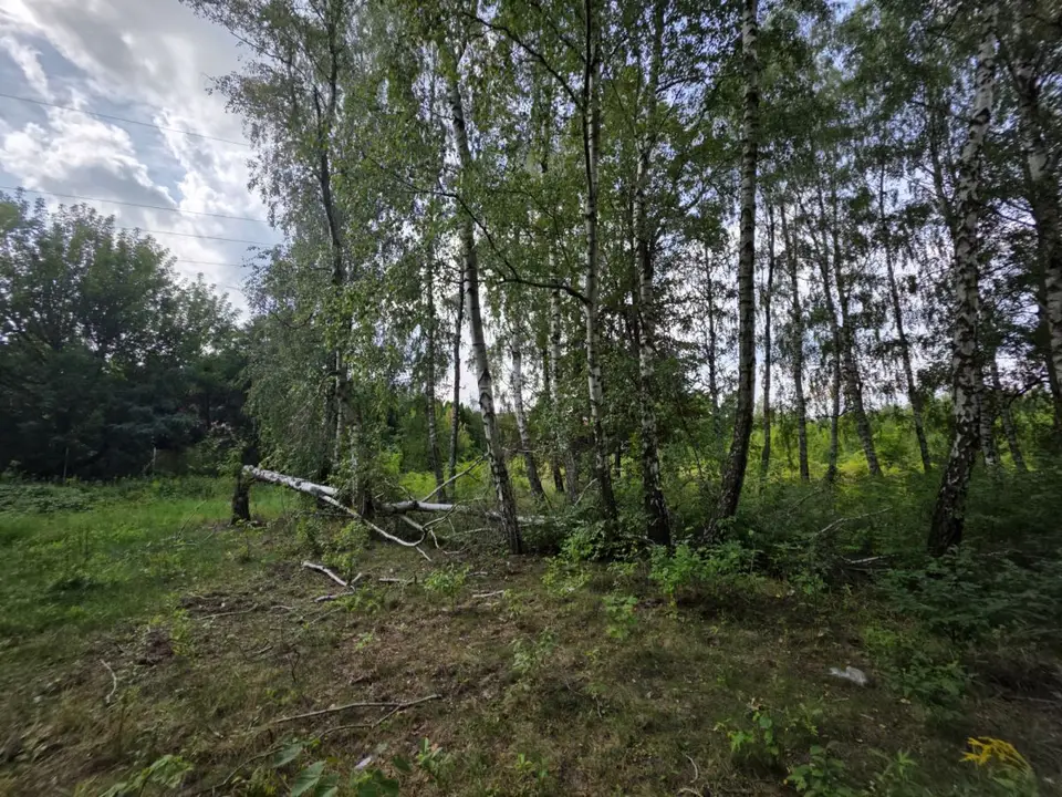 Zdjęcie 18