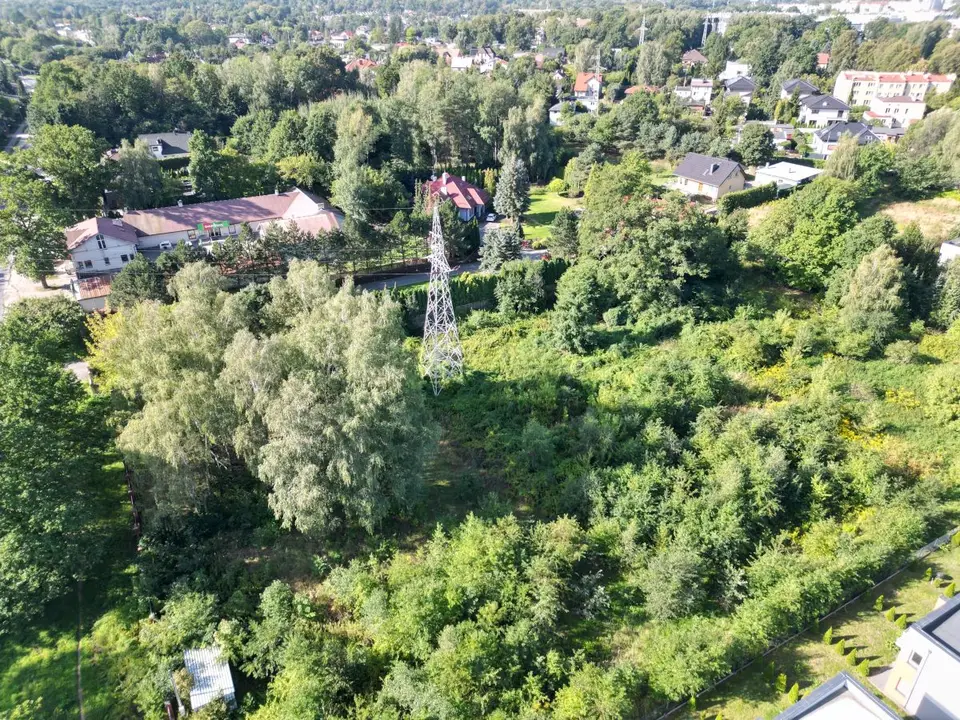 Zdjęcie 19