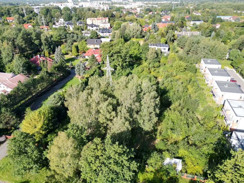 Zdjęcie 23