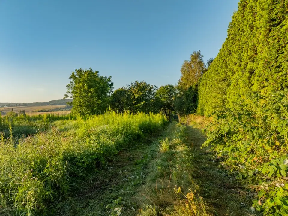 Zdjęcie 13
