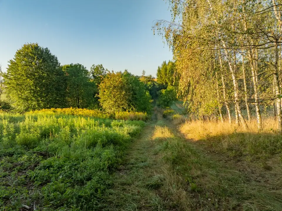 Zdjęcie 16