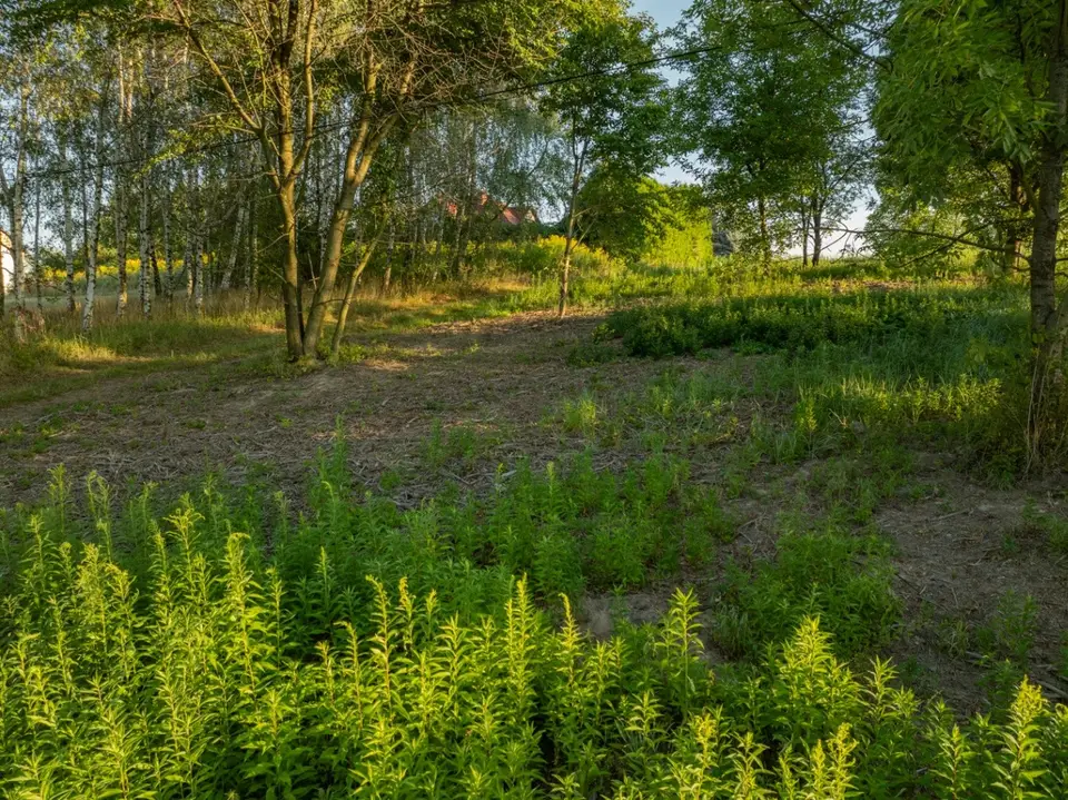 Zdjęcie 18