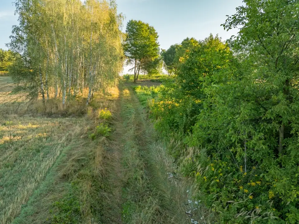 Zdjęcie 19