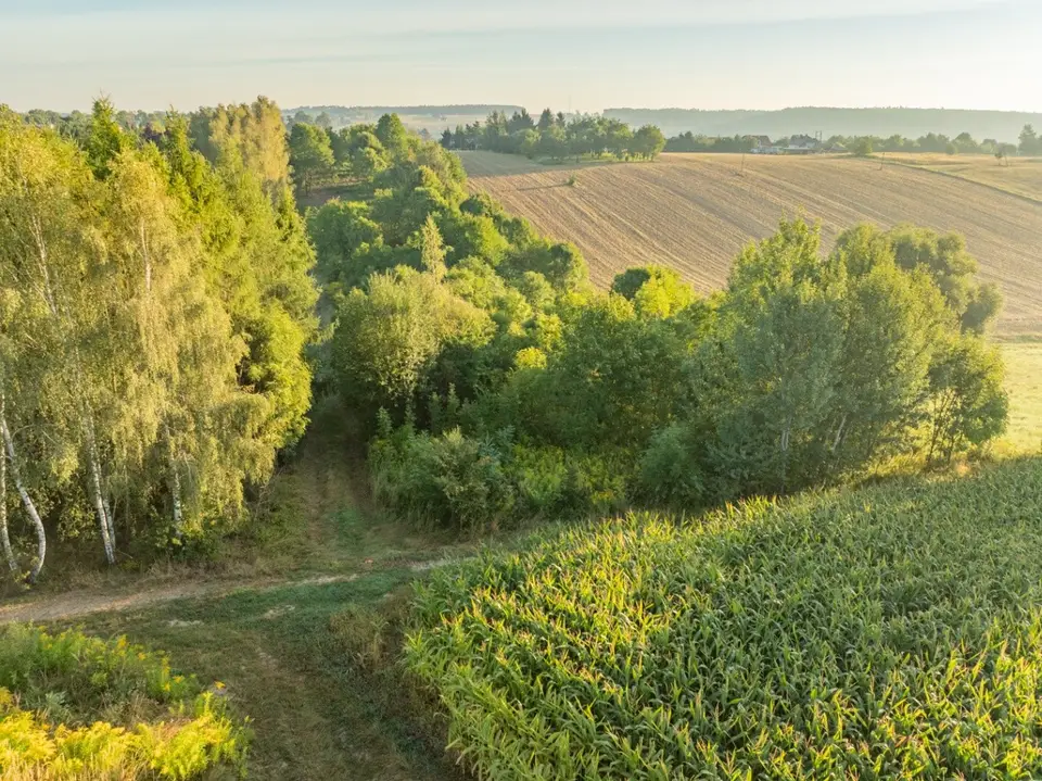 Zdjęcie 20