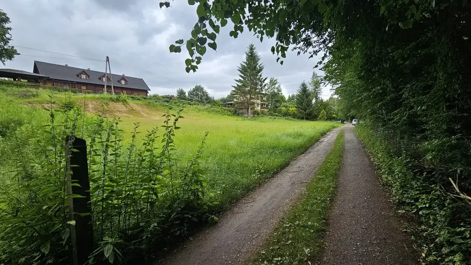 Zdjęcie 10