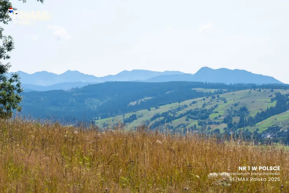 Działka rolna 6 563 m², Dzianisz