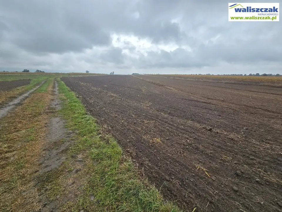 Działka rolna 3,24 ha, Piotrków Trybunalski