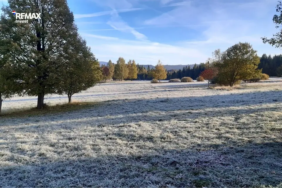 Zdjęcie 14