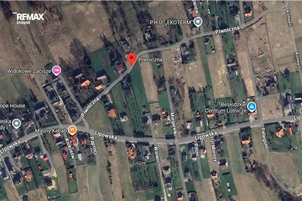 Zdjęcie 7