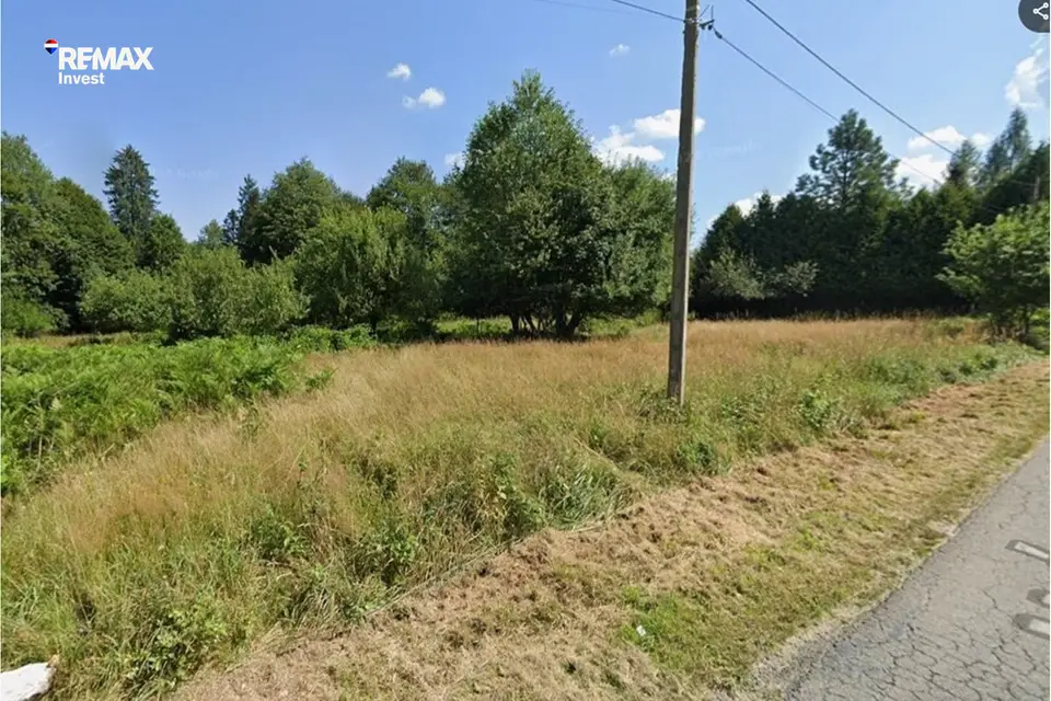 Zdjęcie 5
