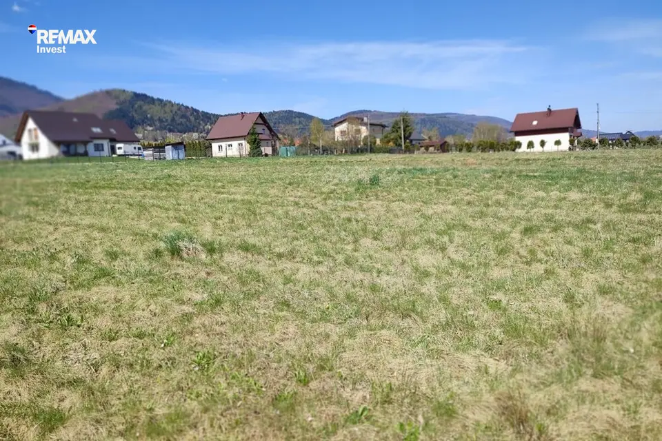 Zdjęcie 6