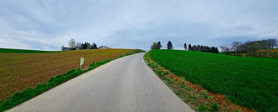 Zdjęcie 8