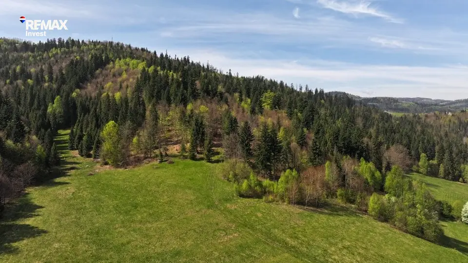 Działka leśna 9 506 m², Wisła