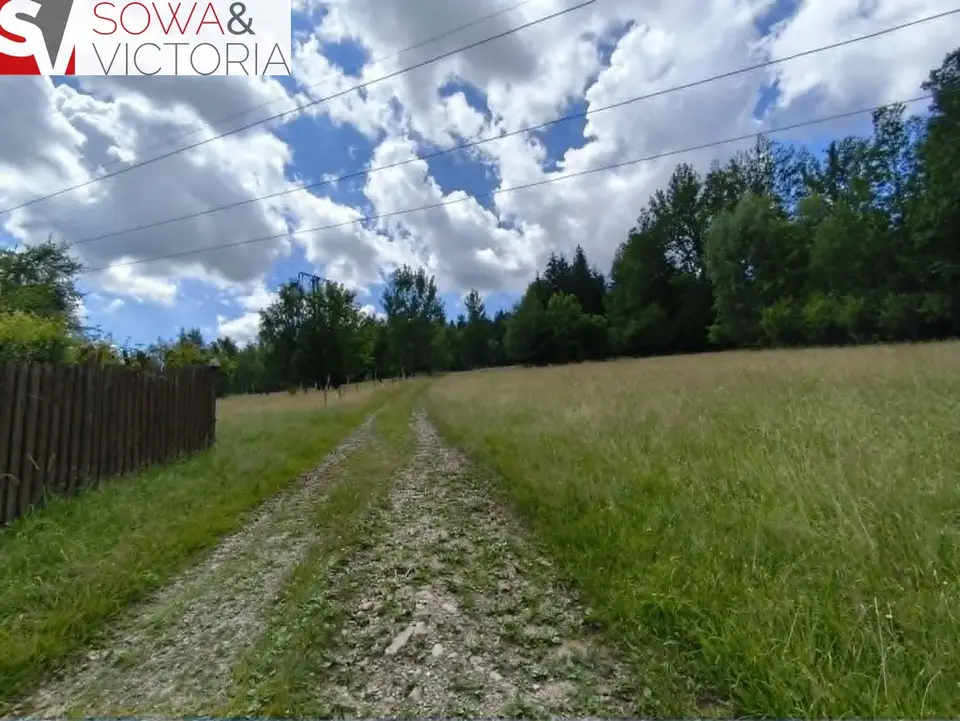 Zdjęcie 6