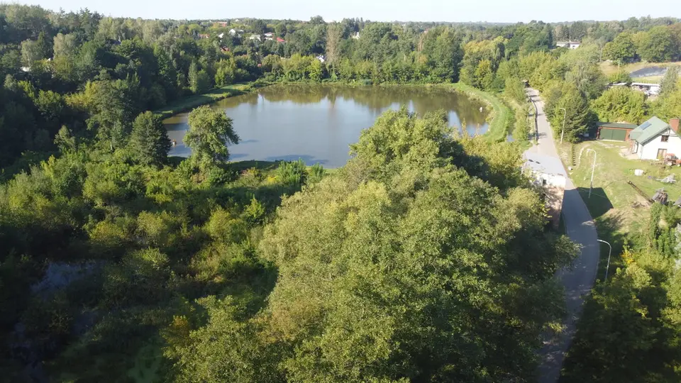 Zdjęcie 12