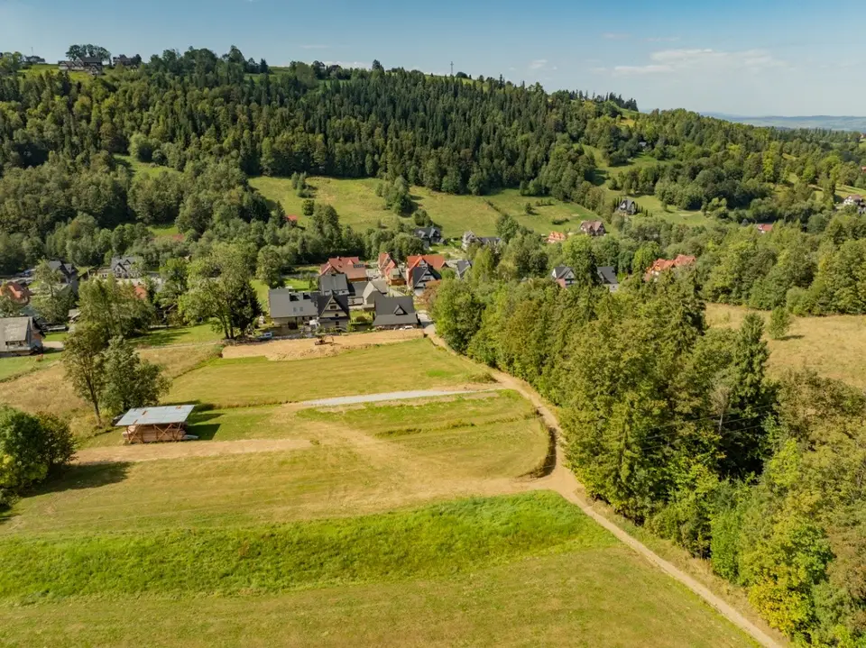 Zdjęcie 11