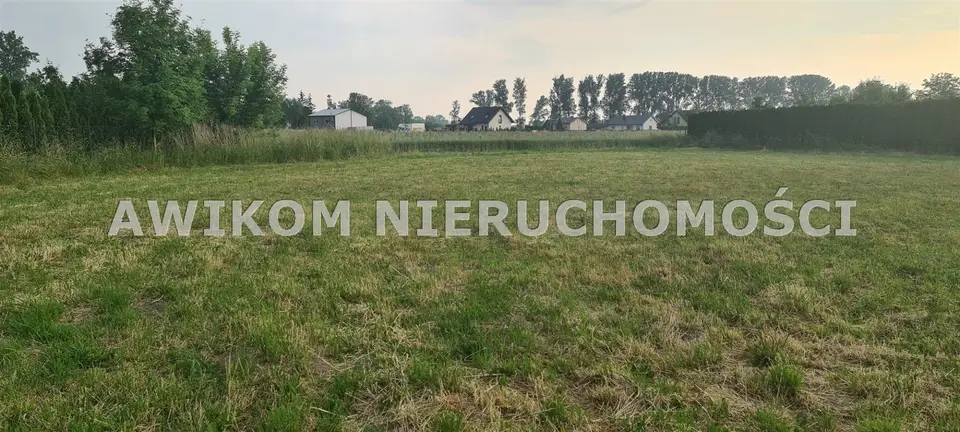 Zdjęcie 5
