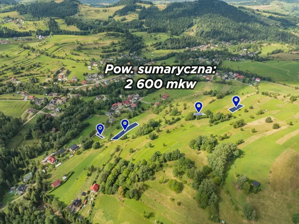 Zdjęcie 2