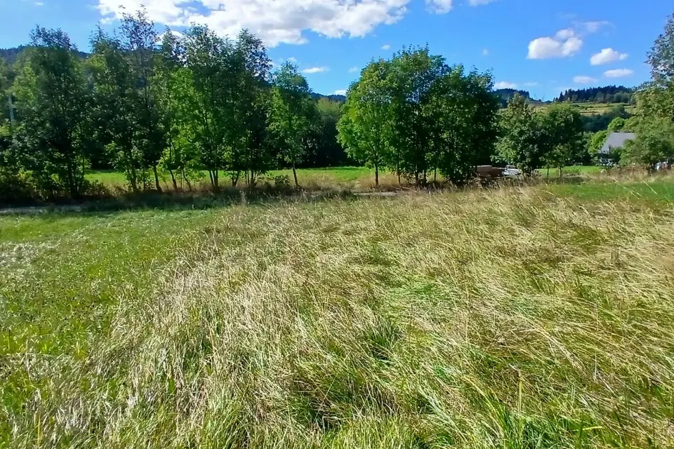 Zdjęcie 10