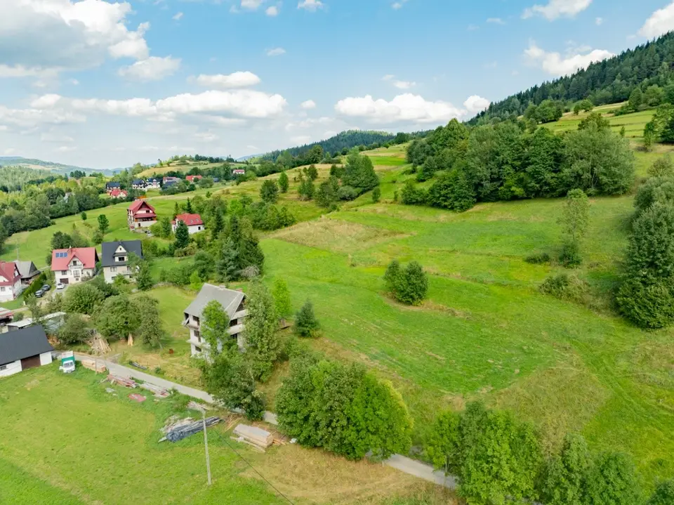 Zdjęcie 12