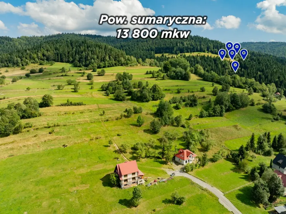 Zdjęcie 3