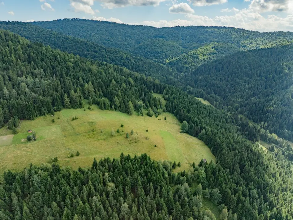 Zdjęcie 4
