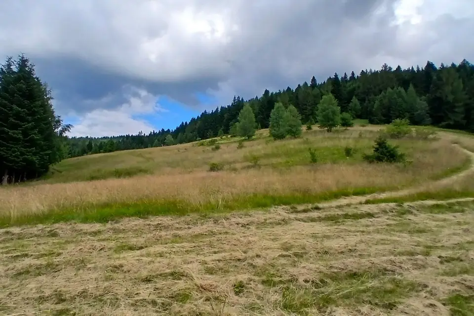 Zdjęcie 7