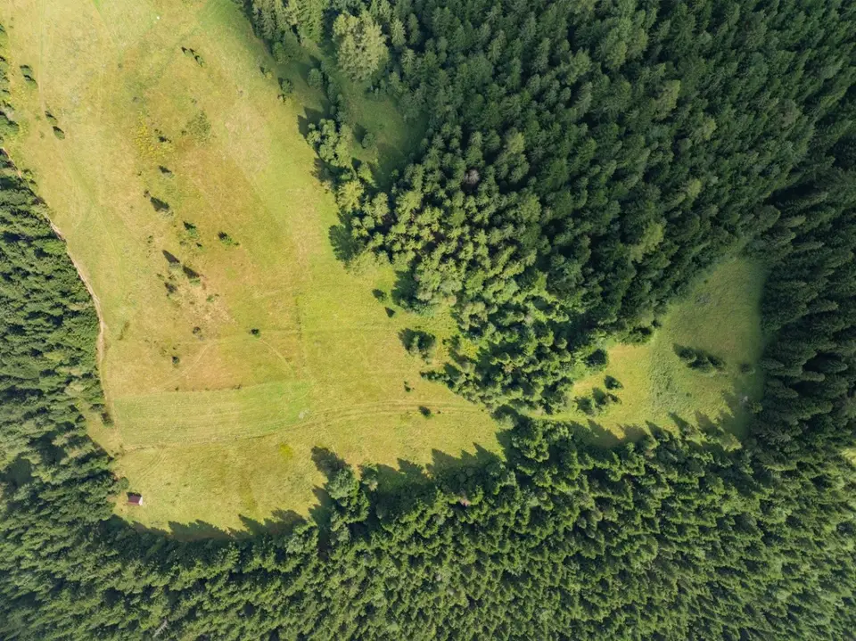 Zdjęcie 8
