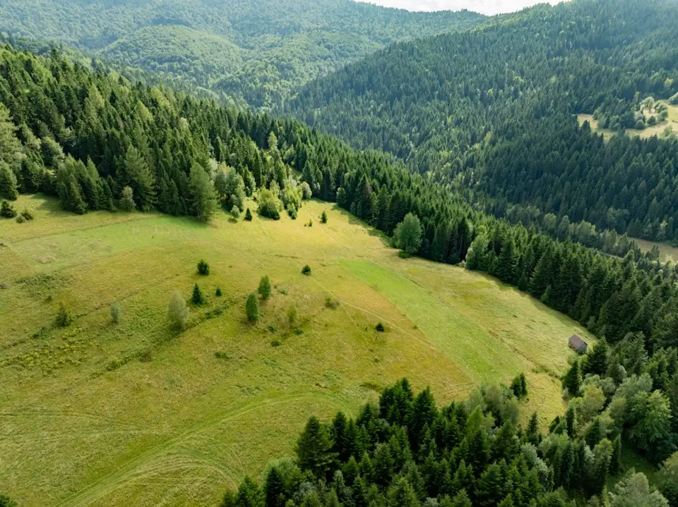 Zdjęcie 12