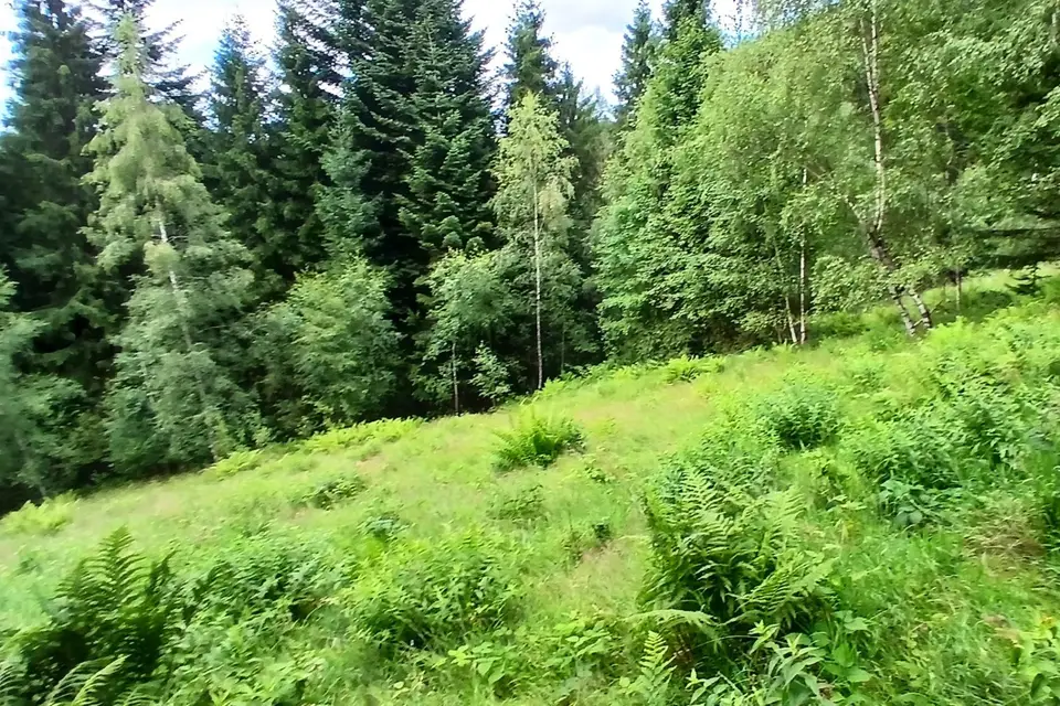 Zdjęcie 14