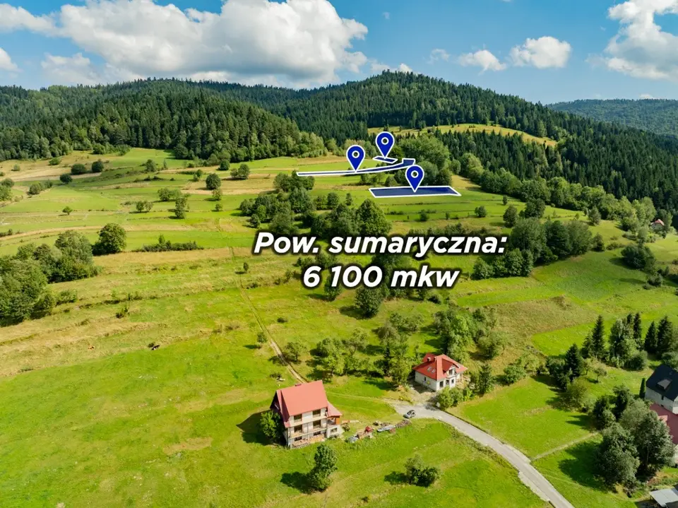 Zdjęcie 2