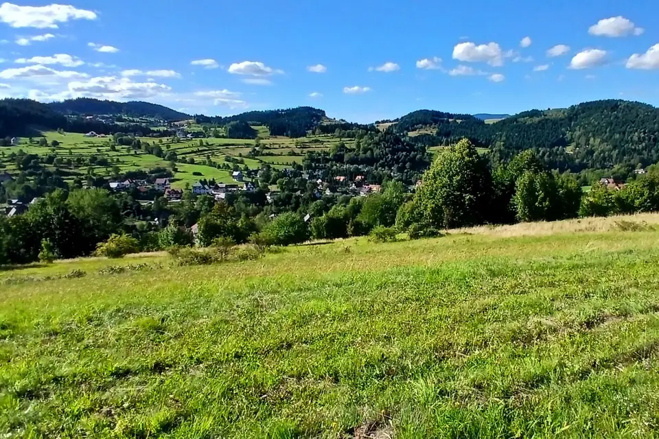 Zdjęcie 3