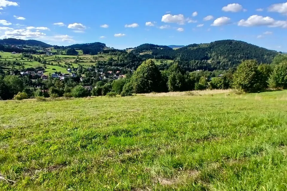 Zdjęcie 8