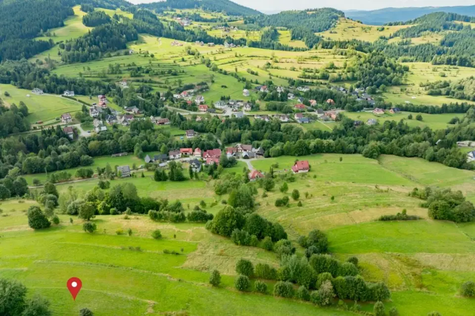 Zdjęcie 10