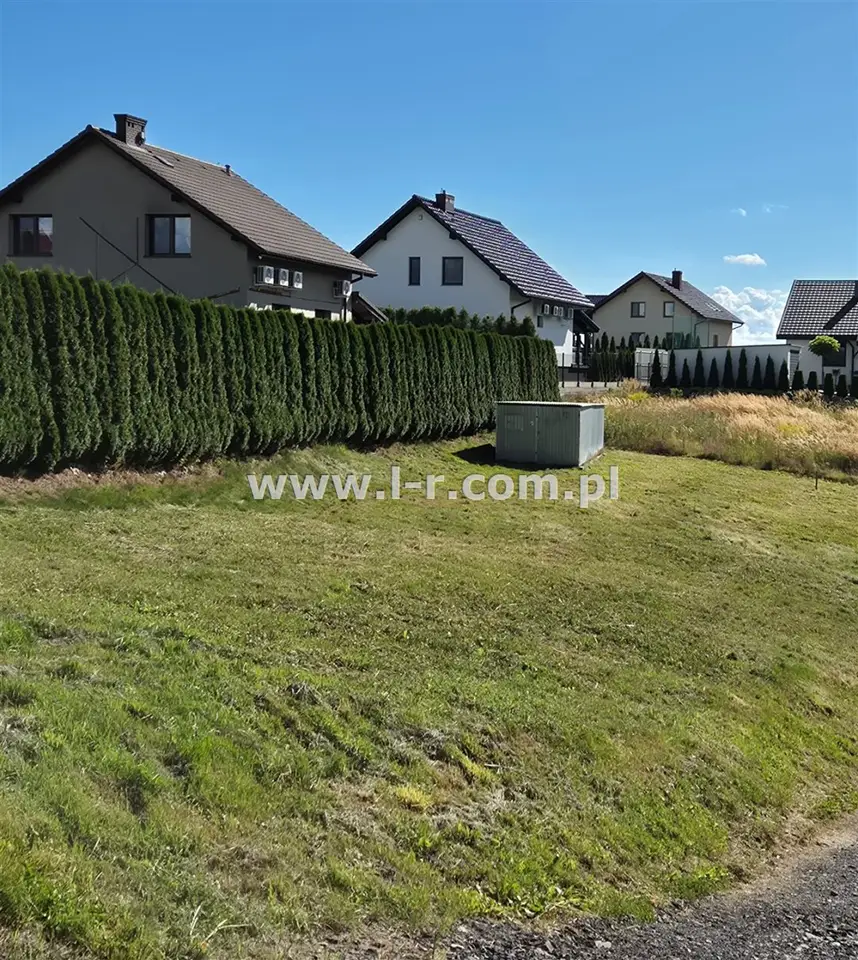 Zdjęcie 15
