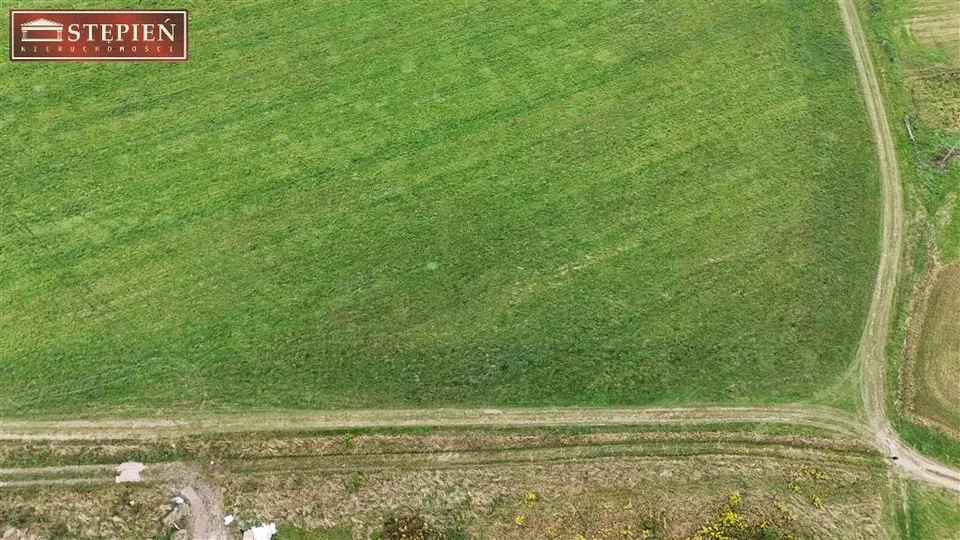 Zdjęcie 11