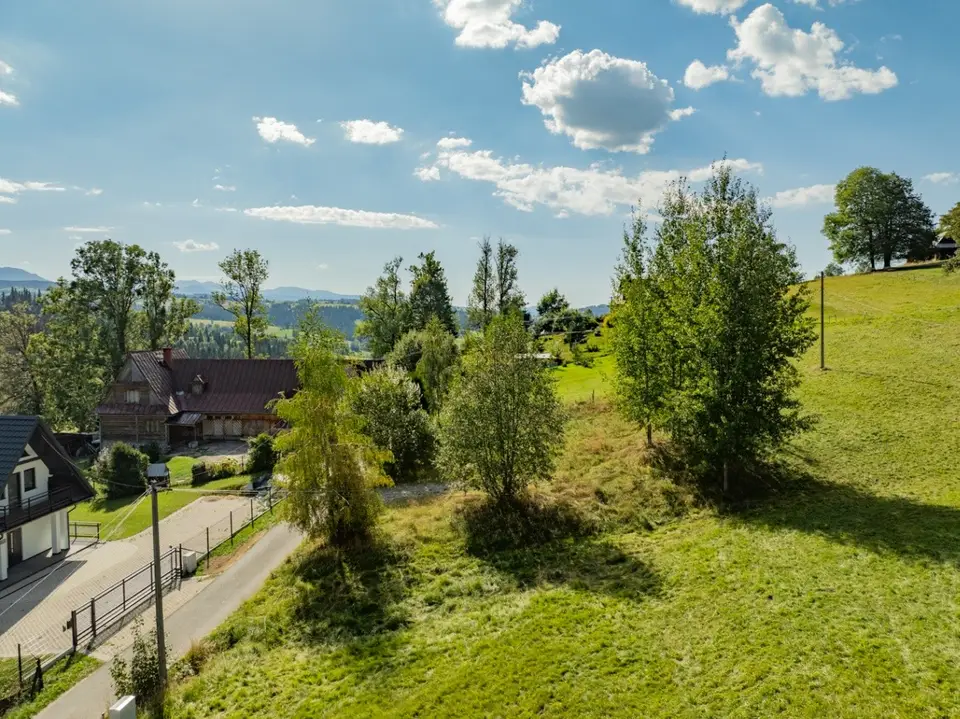 Zdjęcie 10