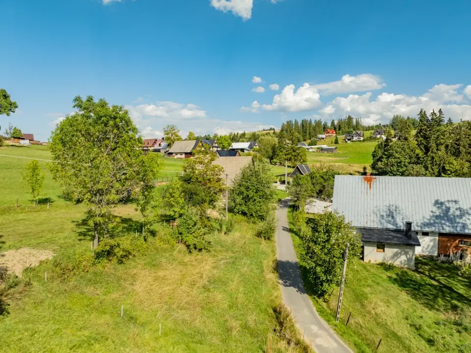 Zdjęcie 12