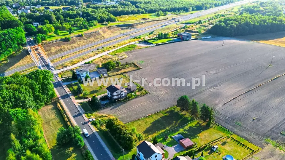 Zdjęcie 11