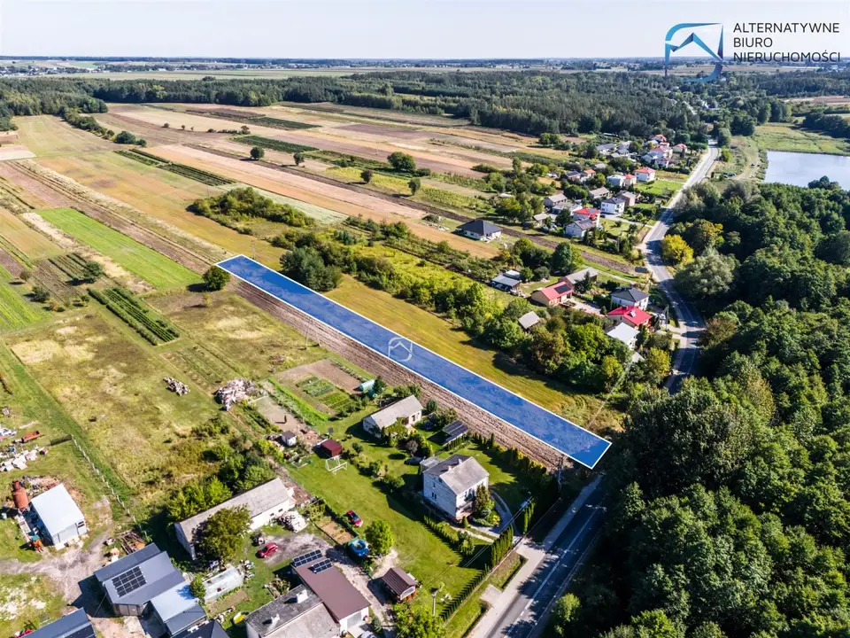 Zdjęcie 12