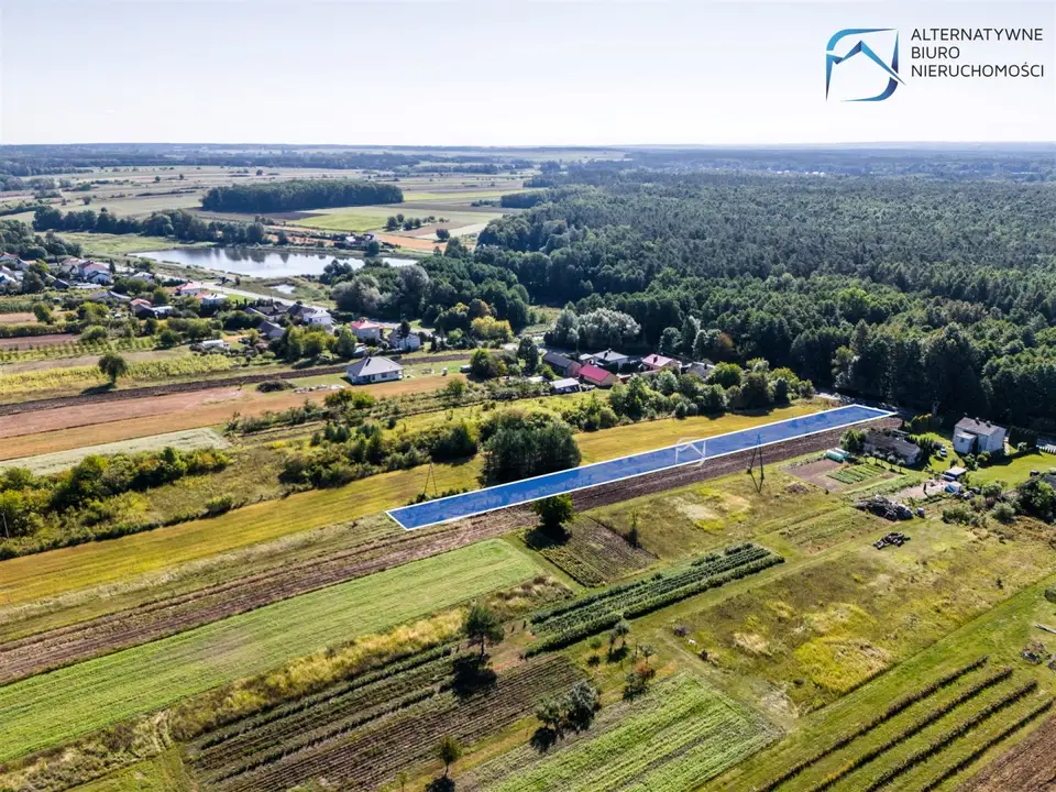 Zdjęcie 16